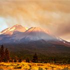 Mount Shasta