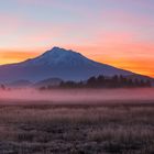 Mount Shasta