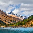 Mount Siguniang -the four sister mountain, Sichuan, China