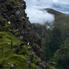 Mount Snowdon