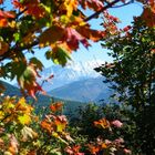 Mount St. Helens