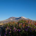 Mount St. Helens