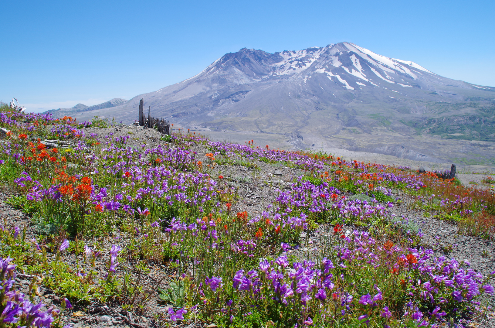 Mount St. Helens mal ohne Wolken aber im Dunst