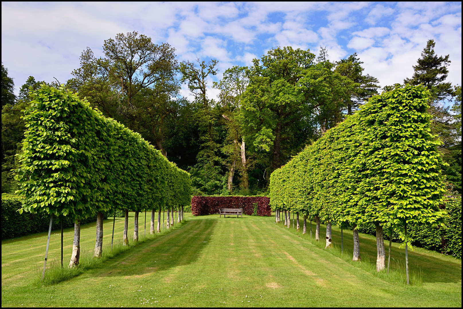 Mount Stuart Gardens