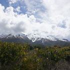 Mount Taranaki