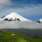 Mount Taranaki