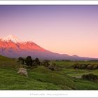 Mount Taranaki