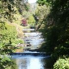 Mount Usher Gardens, Ashford, County Wicklow, Ireland