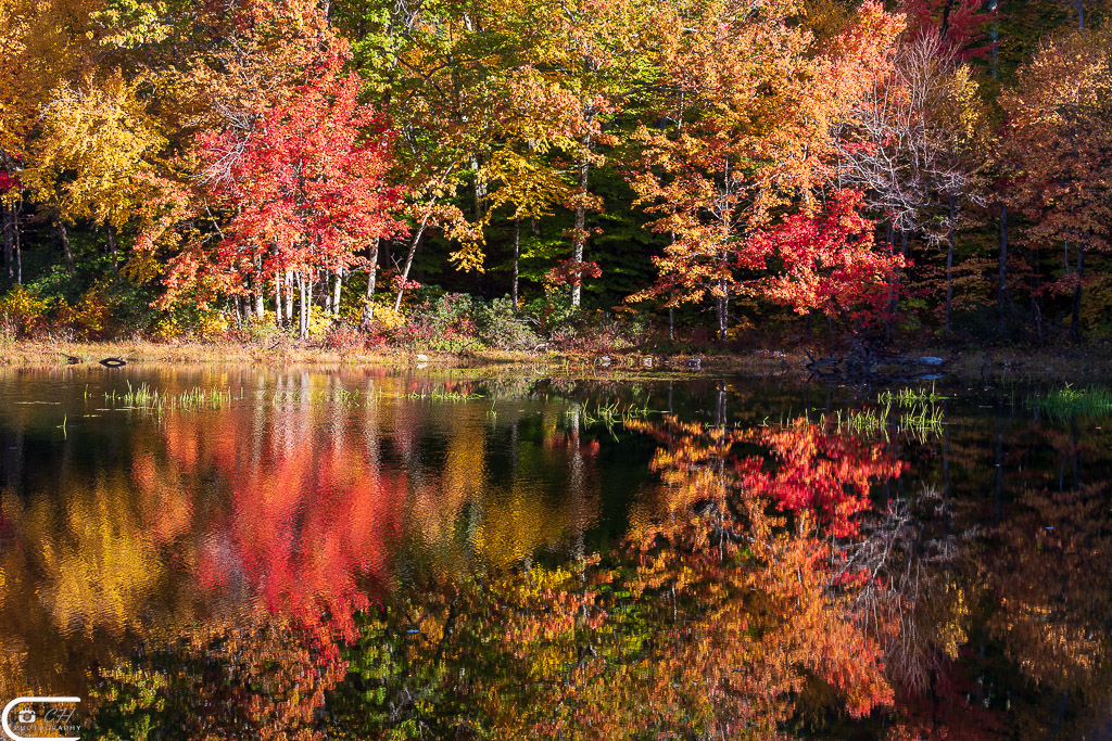 Mount Wachusett Echo Lake 2