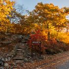 Mount Wachusett Summit Road