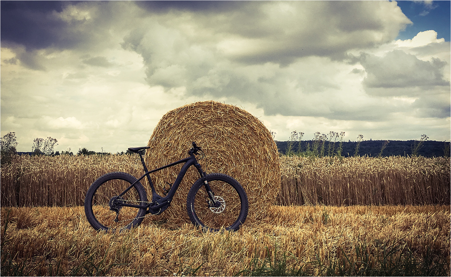 ....  Mountain Bike im Feld  ....