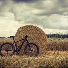 ....  Mountain Bike im Feld  ....