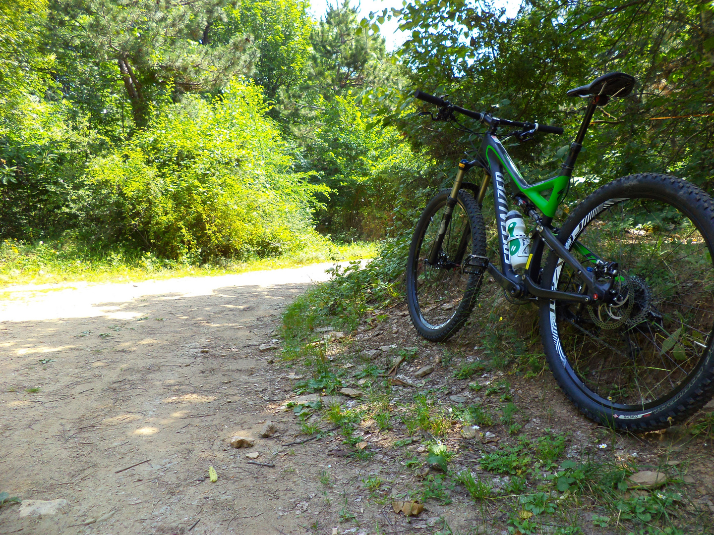 mountain biking test drive