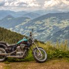 Mountain Bobber