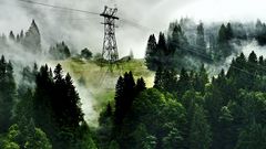 Mountain fog (Füssen)