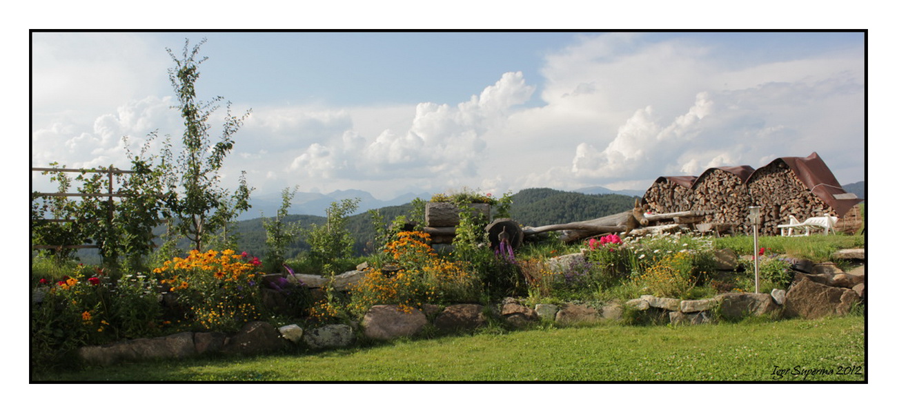 Mountain garden