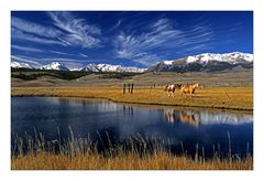 Mountain & Horses