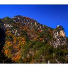 Mountain in fall colour