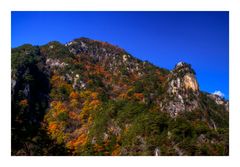 Mountain in fall colour