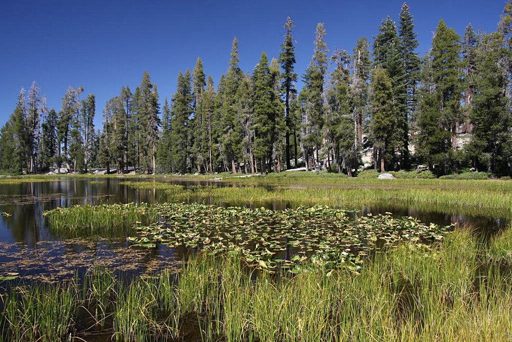 Mountain Lake