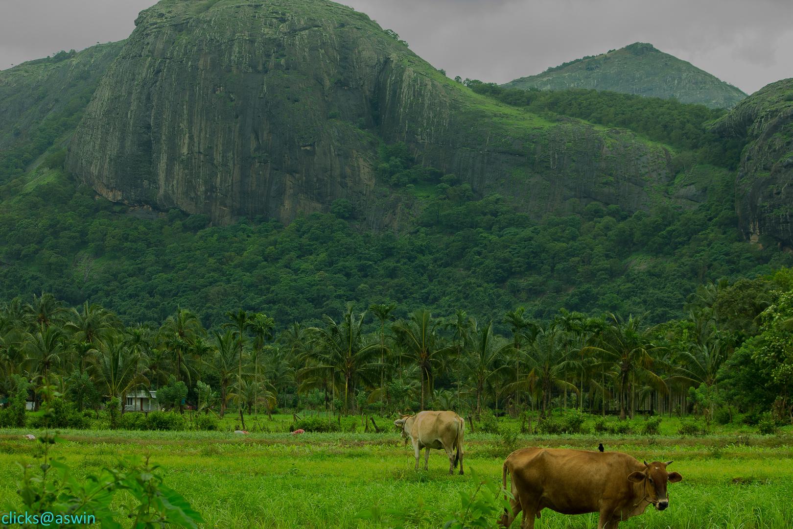 Mountain long shot...