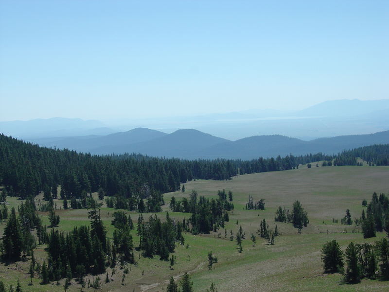 Mountain Meadow