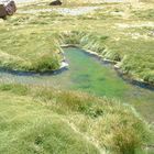 Mountain-meadow stream