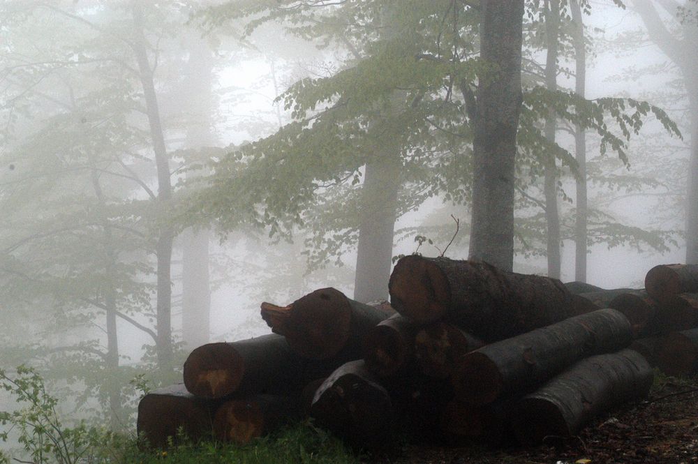 Mountain MEDVEDNICA