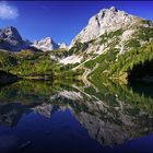 ~ MOUNTAIN-MIRROR ~