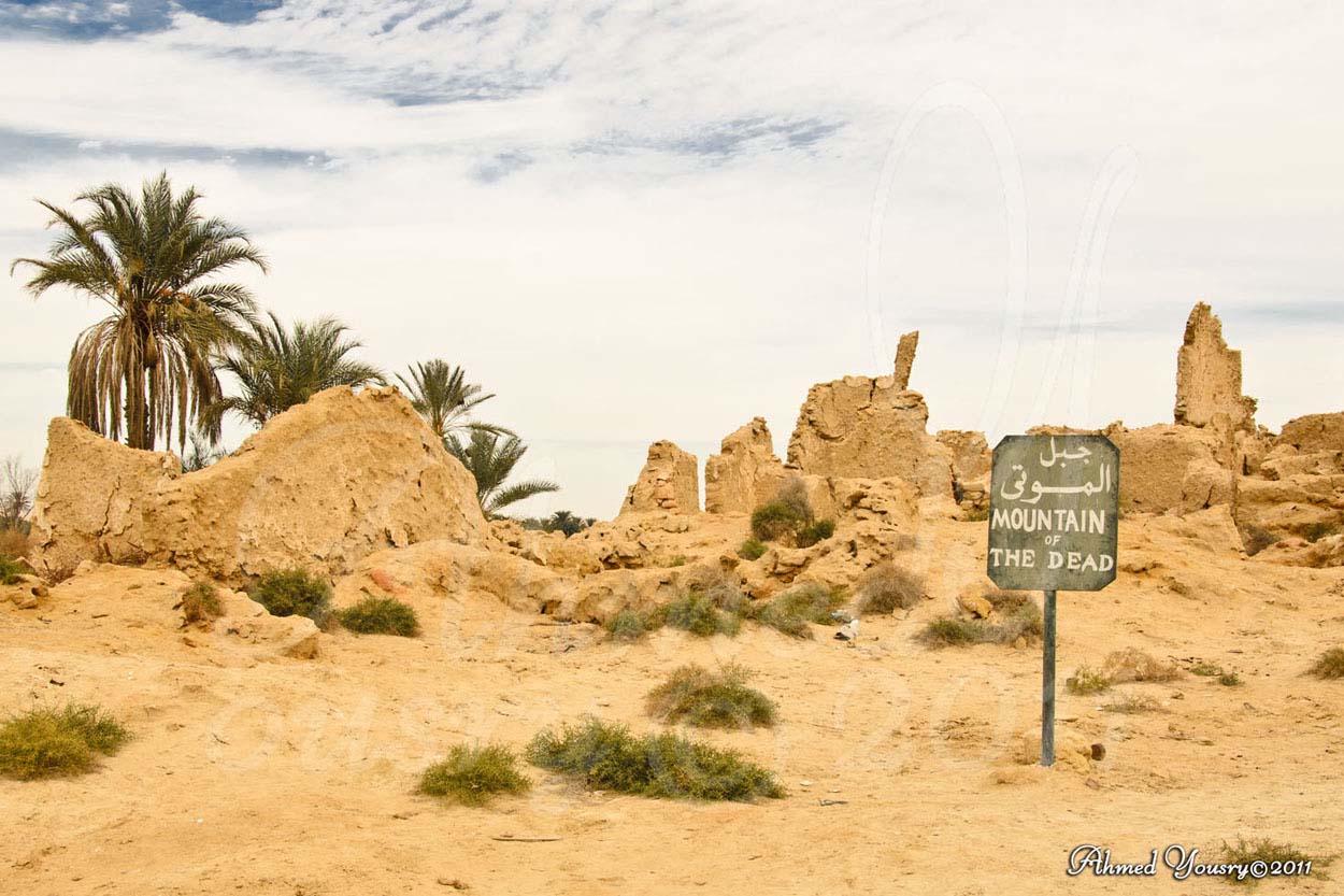 Mountain of the Dead - Siwa