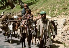 Mountain People in Kashmir