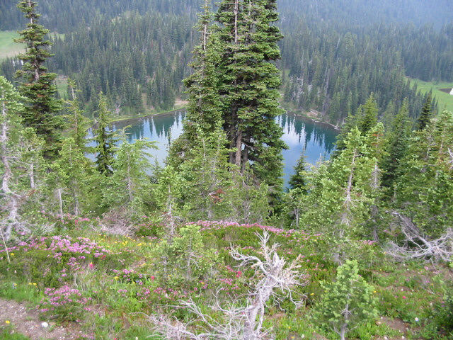 Mountain pond