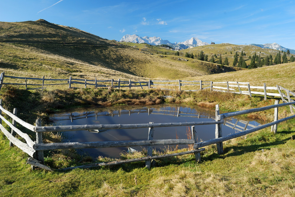 Mountain Pond