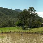 Mountain Scenery