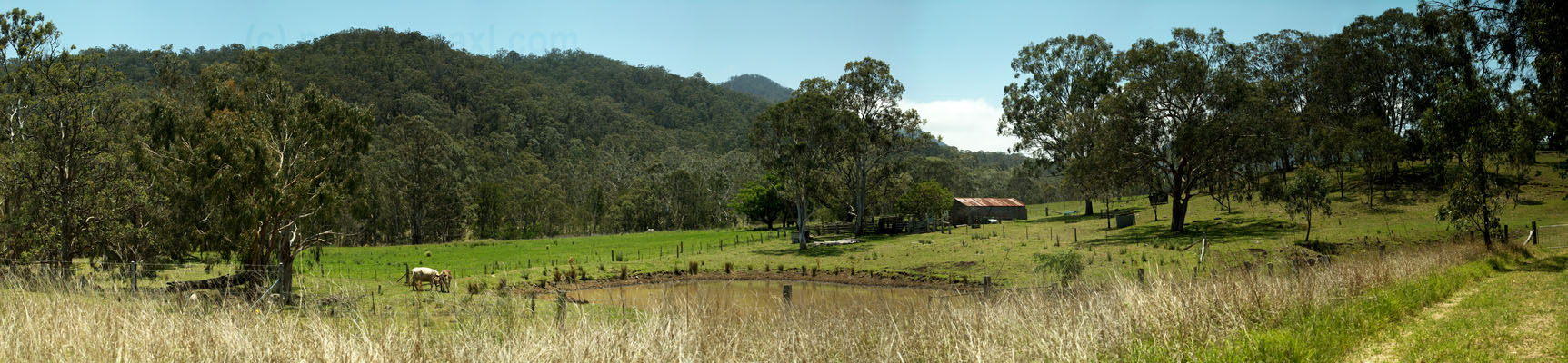 Mountain Scenery