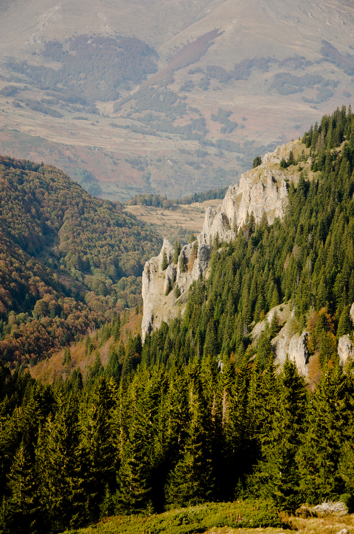 mountain Sharr Planina