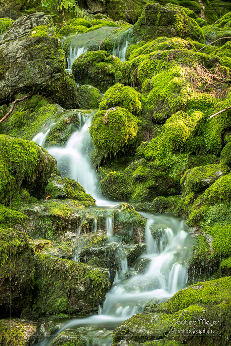 Mountain Spring