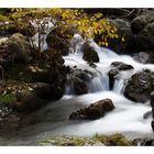 Mountain stream 1