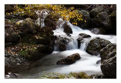 Mountain stream 1