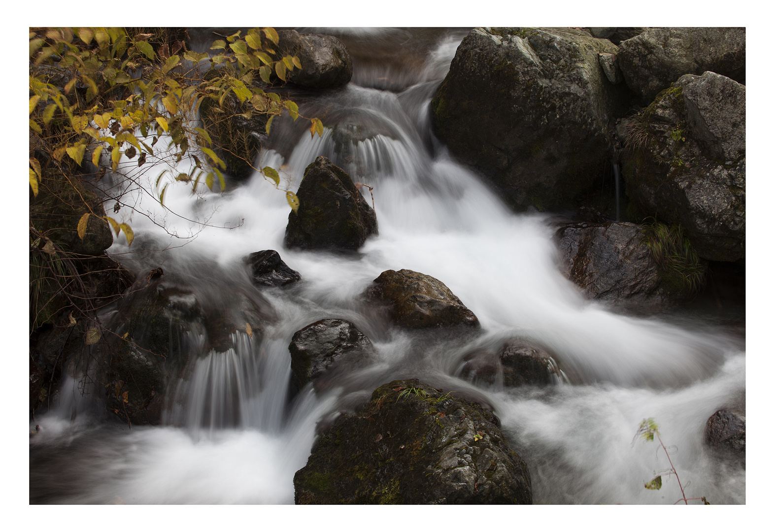 Mountain stream 2