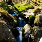 Mountain stream