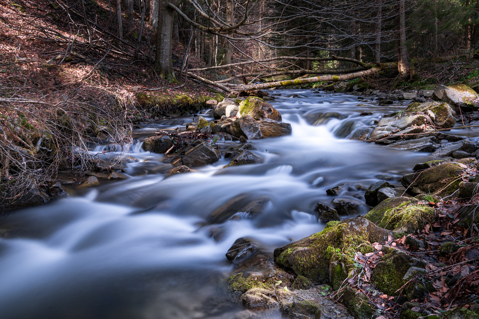 Mountain stream 