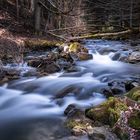 Mountain stream 