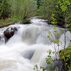 Mountain Stream