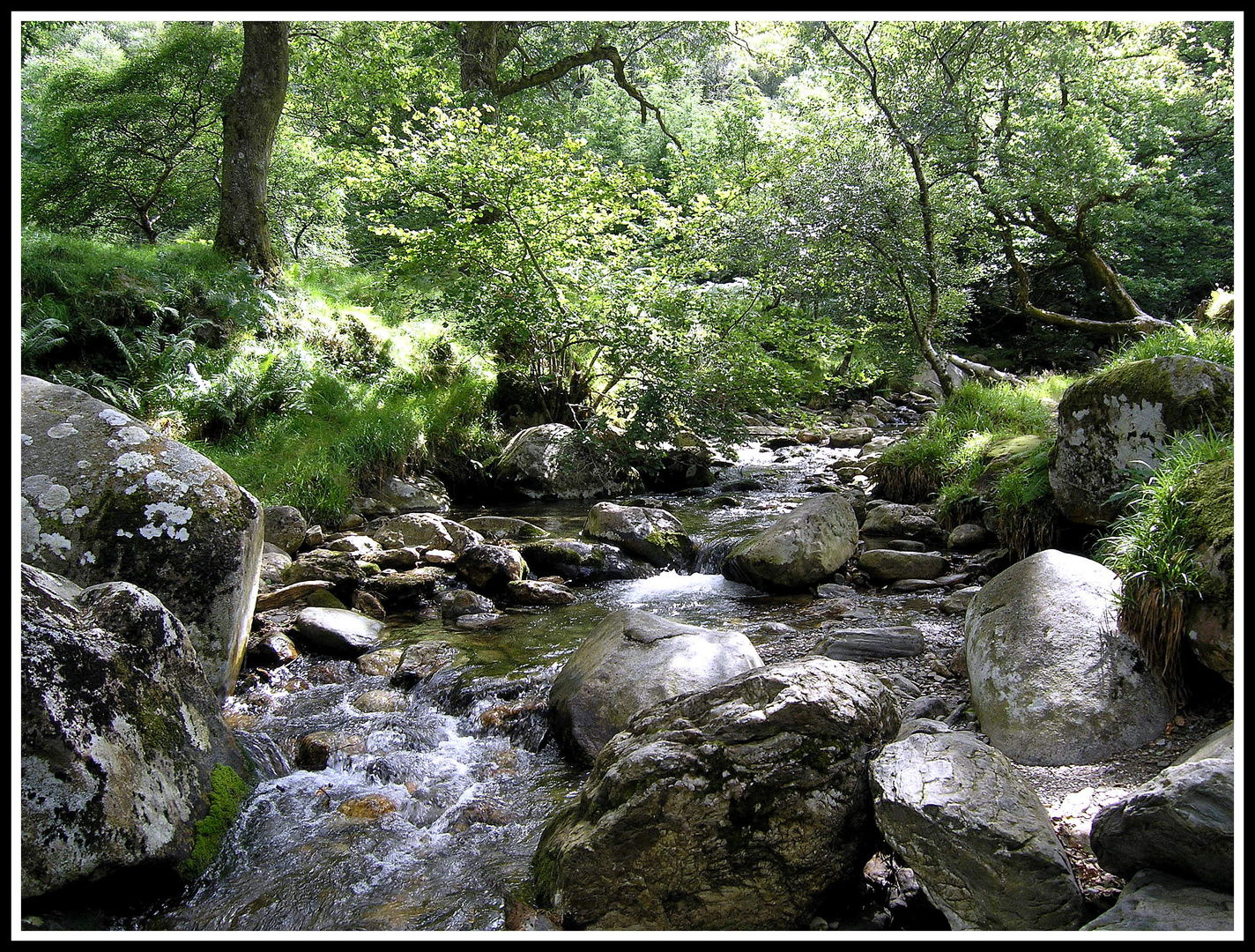 Mountain Stream - Glendalough - Co. Wicklow - Ireland