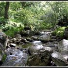 Mountain Stream - Glendalough - Co. Wicklow - Ireland