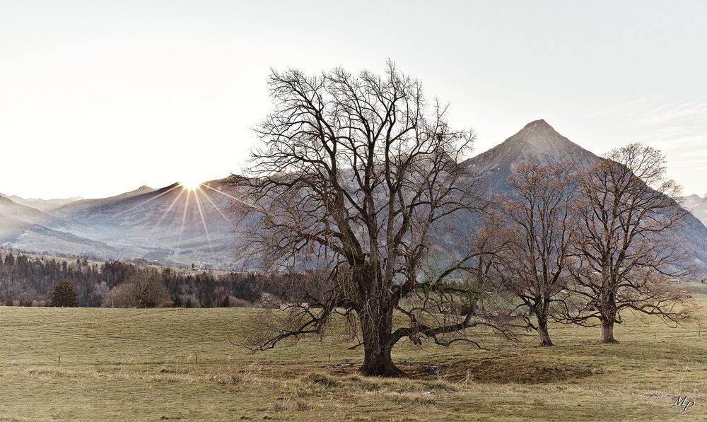 Mountain Sunset