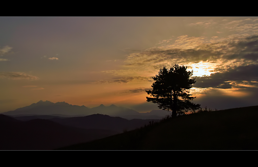 ° mountain sunset light °