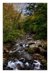 Mountain torrent [beginning of autumn]