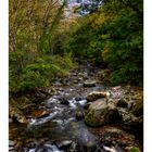 Mountain torrent [beginning of autumn]